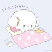 ヒメ日記 2026/02/23 14:19 投稿 せりな アイドルドリーム