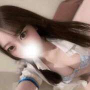 ヒメ日記 2026/04/09 01:19 投稿 せりな アイドルドリーム