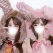ヒメ日記 2026/07/03 10:59 投稿 せりな アイドルドリーム
