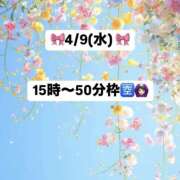 ヒメ日記 2025/04/09 12:37 投稿 あやか ハピネス東京
