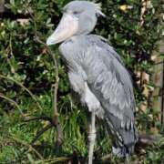 ヒメ日記 2025/10/01 21:27 投稿 あやか ハピネス東京