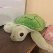 ヒメ日記 2024/12/29 20:18 投稿 大勢【たいせい】 ★無料オプション多数★成田若妻即即サークル【日本人専門店】