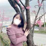 ヒメ日記 2025/03/28 17:38 投稿 ゆか 京都BOOK MARK（ブックマーク）