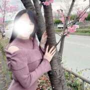 ヒメ日記 2025/04/08 20:38 投稿 ゆか 京都BOOK MARK（ブックマーク）