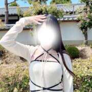 ヒメ日記 2025/05/10 15:56 投稿 ゆか 京都BOOK MARK（ブックマーク）