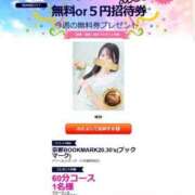 ヒメ日記 2025/06/27 19:08 投稿 ゆか 京都BOOK MARK（ブックマーク）