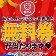 ヒメ日記 2025/11/30 16:28 投稿 ゆか 京都BOOK MARK（ブックマーク）