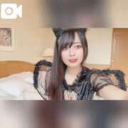 ヒメ日記 2025/11/23 12:18 投稿 シオリ【評価SSS、絶対の自信】 CLUB CHELSEA(クラブ チェルシー)福井