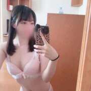 ヒメ日記 2026/02/20 12:08 投稿 ミヒロ【エリア最高峰のS級美女】 CLUB CHELSEA(クラブ チェルシー)福井