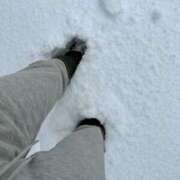 ヒメ日記 2025/02/08 09:44 投稿 歩菜【アユナ】 福井人妻営業所