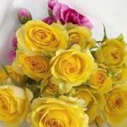 ヒメ日記 2025/03/12 07:24 投稿 歩菜【アユナ】 福井人妻営業所