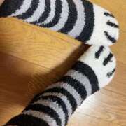 ヒメ日記 2025/03/12 16:54 投稿 歩菜【アユナ】 福井人妻営業所