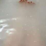 ヒメ日記 2025/03/24 08:14 投稿 歩菜【アユナ】 福井人妻営業所