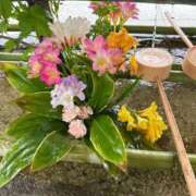 ヒメ日記 2025/04/21 07:24 投稿 歩菜【アユナ】 福井人妻営業所