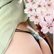 ヒメ日記 2025/04/22 11:54 投稿 歩菜【アユナ】 福井人妻営業所