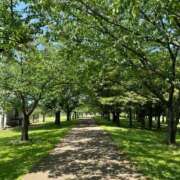 ヒメ日記 2025/05/13 11:54 投稿 歩菜【アユナ】 福井人妻営業所