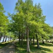 ヒメ日記 2025/05/28 12:54 投稿 歩菜【アユナ】 福井人妻営業所