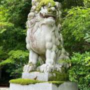 ヒメ日記 2025/08/14 07:32 投稿 歩菜【アユナ】 福井人妻営業所