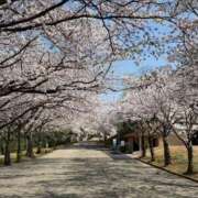ヒメ日記 2026/04/04 06:52 投稿 歩菜【アユナ】 福井人妻営業所