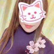 ヒメ日記 2026/04/09 12:22 投稿 歩菜【アユナ】 福井人妻営業所