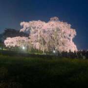 ヒメ日記 2025/04/16 16:45 投稿 ゆめか 姫マーケット