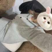 ヒメ日記 2026/02/25 20:03 投稿 ゆめか 姫マーケット