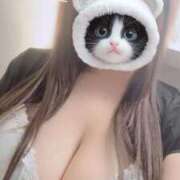 ゆめか るんるんっ😸 姫マーケット