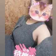 ヒメ日記 2026/09/24 22:25 投稿 ゆめか 姫マーケット
