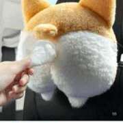 ユノ【新人】【宮崎っ子】 完売┏○)) ｱｻﾞ━━━━━━━━ｽ！ Alice