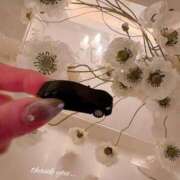 ヒメ日記 2025/05/24 02:04 投稿 美妃【ミキ】 福井人妻営業所