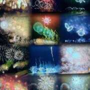 ヒメ日記 2025/08/12 11:03 投稿 美妃【ミキ】 福井人妻営業所