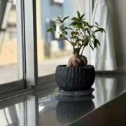 ヒメ日記 2025/10/14 13:02 投稿 美妃【ミキ】 福井人妻営業所