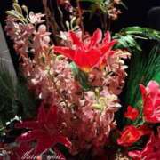 ヒメ日記 2025/12/27 09:12 投稿 美妃【ミキ】 福井人妻営業所