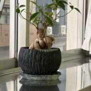 ヒメ日記 2026/01/06 00:02 投稿 美妃【ミキ】 福井人妻営業所