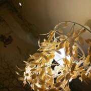 ヒメ日記 2026/01/29 17:35 投稿 美妃【ミキ】 福井人妻営業所