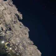 ヒメ日記 2026/04/03 09:22 投稿 美妃【ミキ】 福井人妻営業所