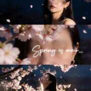 ヒメ日記 2026/04/14 19:22 投稿 美妃【ミキ】 福井人妻営業所