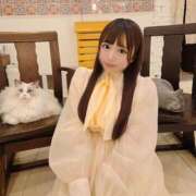 ヒメ日記 2025/04/12 18:12 投稿 コトリ【3POK撮影撮り放題♪】 CLUB CHELSEA(クラブ チェルシー)富山