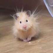 ヒメ日記 2025/09/25 10:09 投稿 リン【逆3POK本指名率激高♪】 CLUB CHELSEA(クラブ チェルシー)富山