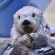 ヒメ日記 2025/02/26 13:28 投稿 マシロ【低身長✖OP豊富✖ロリ】 CLUB CHELSEA(クラブ チェルシー)金沢