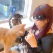 ヒメ日記 2025/02/23 15:47 投稿 キリカ【動画取り放題のロリ天使】 CLUB CHELSEA(クラブ チェルシー)金沢