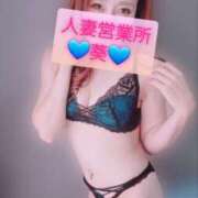 ヒメ日記 2024/12/31 22:04 投稿 葵【アオイ】 富山人妻営業所