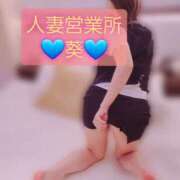 ヒメ日記 2025/03/17 10:04 投稿 葵【アオイ】 富山人妻営業所