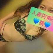 ヒメ日記 2026/08/14 14:20 投稿 葵【アオイ】 富山人妻営業所