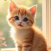 ヒメ日記 2025/05/12 20:04 投稿 茜【アカネ】 富山人妻営業所