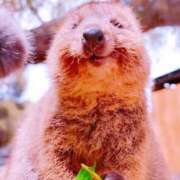 ヒメ日記 2026/03/01 14:14 投稿 茜【アカネ】 富山人妻営業所