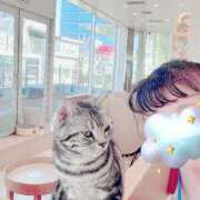 ヒメ日記 2025/03/30 14:14 投稿 桜【サクラ】 富山人妻営業所