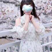 ヒメ日記 2025/04/03 12:44 投稿 桜【サクラ】 富山人妻営業所