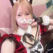 ヒメ日記 2025/12/18 11:20 投稿 司【ツカサ】 富山人妻営業所