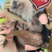 ヒメ日記 2025/09/24 10:33 投稿 篠咲いろは 大人のエッチなエステ